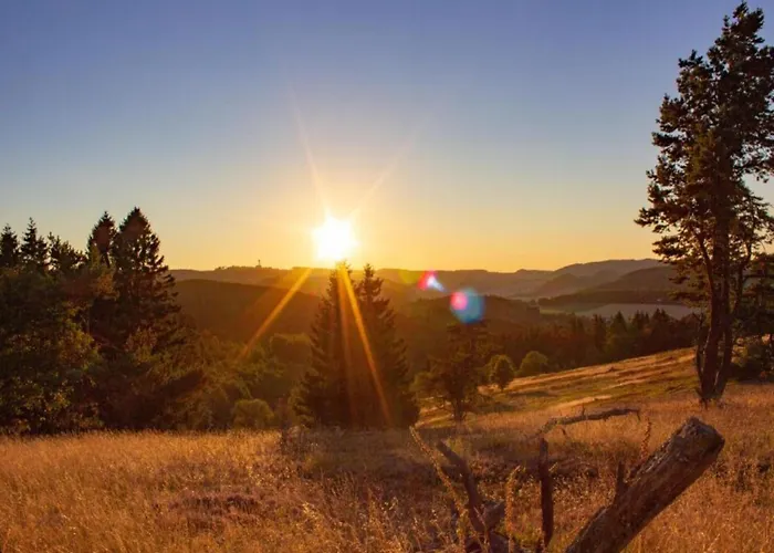 In Nahe Ettelsberg-bahn 아파트 빌링겐